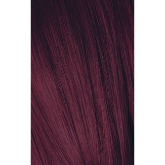 Schwarzkopf Igora Royal 6-99 Dark Laurel Violet Extra 60ml + Oxidant 20V