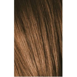Schwarzkopf Igora Royal 6-5 Golden Dark Laurel 60ml + Oxidant 20V