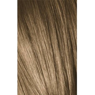 Schwarzkopf Igora Royal 8-0 Light Laurel 60ml + Oxidant 20V