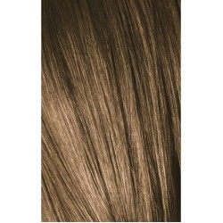 Schwarzkopf Igora Royal 7-0 Medium Laurel 60ml + Oxidant 20V