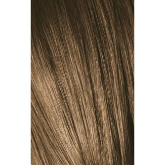Schwarzkopf Igora Royal 7-0 Medium Laurel 60ml + Oxidant 20V