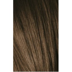Schwarzkopf Igora Royal 6-0 Dark Laurel 60ml + Oxidant 20V
