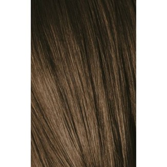 Schwarzkopf Igora Royal 6-0 Dark Laurel 60ml + Oxidant 20V