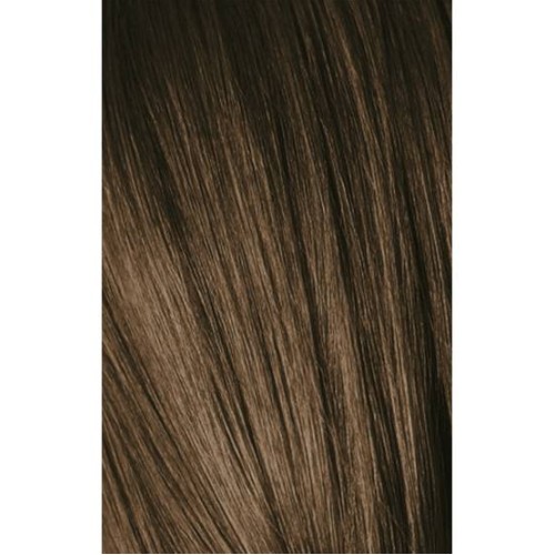 Schwarzkopf Igora Royal 6-0 Dark Laurel 60ml + Oxidant 20V