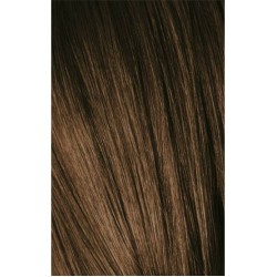 Schwarzkopf Igora Royal 6-00 Natural Dark Laurel Extra 60ml + Oxidant 20V