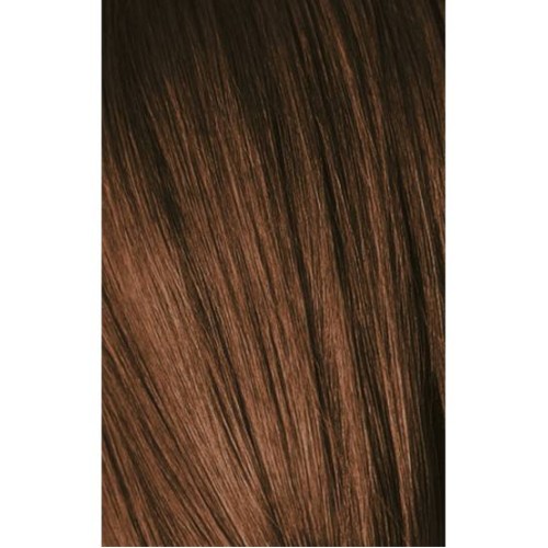 Schwarzkopf Igora Royal 6-65 Dark Laurel Golden Brown 60ml + Oxidant 20V