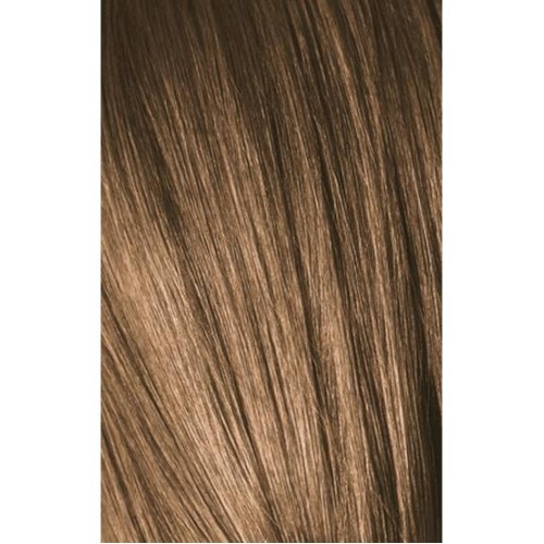 Schwarzkopf Igora Royal 7-4 Medium Beige Laurel 60ml + Oxidant 20V