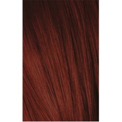 Schwarzkopf Igora Royal 5-88 Light Brown Red Extra 60ml + Oxidant 20V