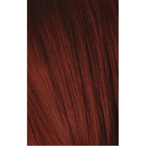 Schwarzkopf Igora Royal 5-88 Light Brown Red Extra 60ml + Oxidant 20V