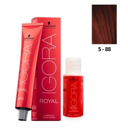 Schwarzkopf Igora Royal 5-88 Light Brown Red Extra 60ml + Oxidant 20V