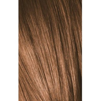 Schwarzkopf Igora Royal 7-65 Medium Laurel Golden Marron 60ml + Oxidant 20V