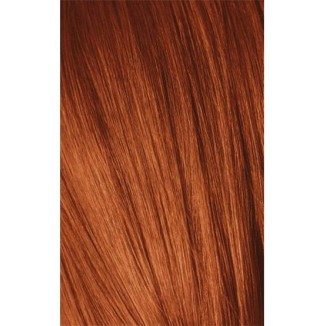 Schwarzkopf Igora Royal 7-77 Medium Laurel Extra Copper 60ml + Oxidant 20V