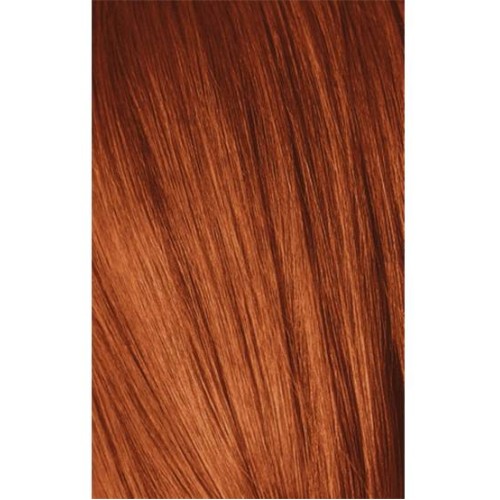 Schwarzkopf Igora Royal 7-77 Medium Laurel Extra Copper 60ml + Oxidant 20V