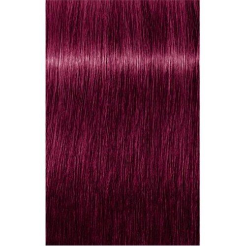 Schwarzkopf Igora Royal 9-98 Extra Light Laurel Red Violet 60ml + Oxidant 20V