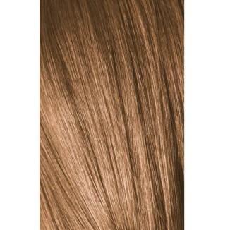 Schwarzkopf Igora Royal 8-65 Golden Light Laurel Marron 60ml + Oxidant 20V