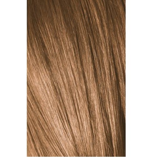 Schwarzkopf Igora Royal 8-65 Golden Light Laurel Marron 60ml + Oxidant 20V