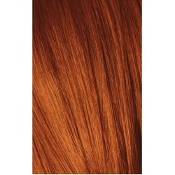 Schwarzkopf Igora Royal 6-77 Dark Laurel Extra Copper 60ml + Oxidant 20V