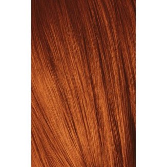 Schwarzkopf Igora Royal 6-77 Dark Laurel Extra Copper 60ml + Oxidant 20V