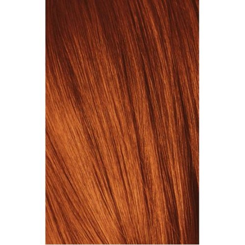 Schwarzkopf Igora Royal 6-77 Dark Laurel Extra Copper 60ml + Oxidant 20V