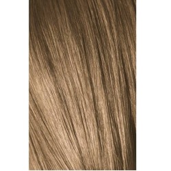 Schwarzkopf Igora Royal 8-4 Beige Light Laurel 60ml + Oxidant 20V Schwarzkopf Igora Royal 8-4 Beige Light Laurel 60ml + Oxidant 20V