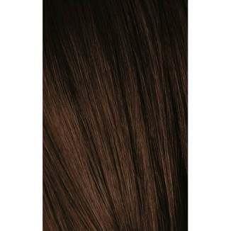 Schwarzkopf Igora Royal 4-6 Medium Brown Brown 60ml + Oxidant 20V