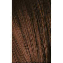 Schwarzkopf Igora Royal 6-6 Dark Laurel Brown 60ml + Oxidant 20V