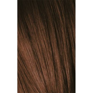 Schwarzkopf Igora Royal 6-6 Dark Laurel Brown 60ml + Oxidant 20V