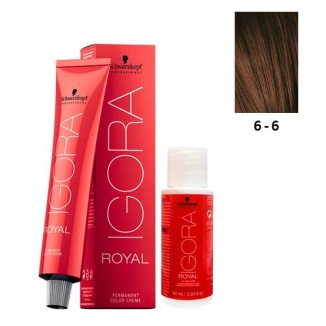 Schwarzkopf Igora Royal 6-6 Dark Laurel Brown 60ml + Oxidant 20V