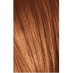 Schwarzkopf Igora Royal 9-7 Extra Light Laurel Copper 60ml + Oxidant 20V