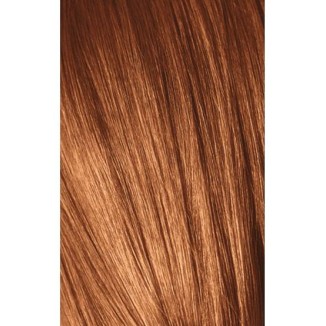 Schwarzkopf Igora Royal 9-7 Extra Light Laurel Copper 60ml + Oxidant 20V