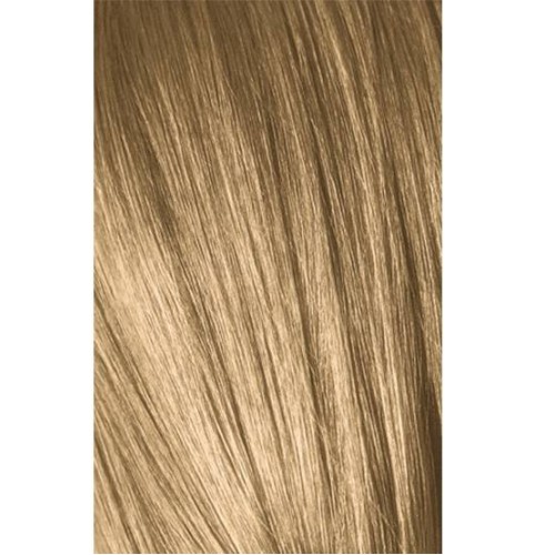 Schwarzkopf Igora Royal 9-00 Natural Extra Light Laurel Extra 60ml + Oxidant 20V