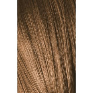Schwarzkopf Igora Royal 7-55 Extra Golden Medium Laurel 60ml + Oxidant 20V
