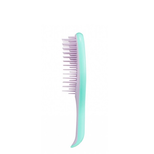 Tangle Teezer Wet Detangler Mini Wisteria Leaf