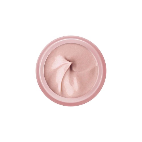 Vichy Neovadiol Rose Platinium Mature Skin Day Cream 50ml
