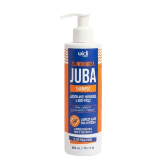 Widi Care Blindando a Juba Anti-Frizz Shampoo 300ml