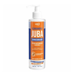 Widi Care Blindando a Juba Anti-Frizz Conditioner 300ml