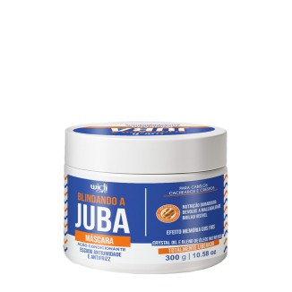 Widi Care Blindando a Juba Anti-Frizz Mask 300ml