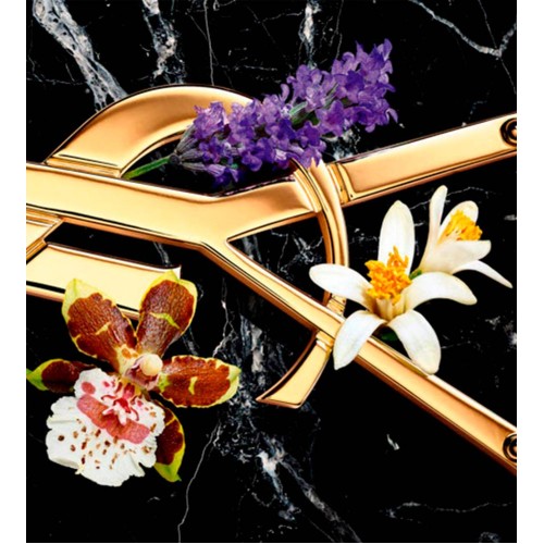 YSL Libre Eau de Parfum Intense 30ml